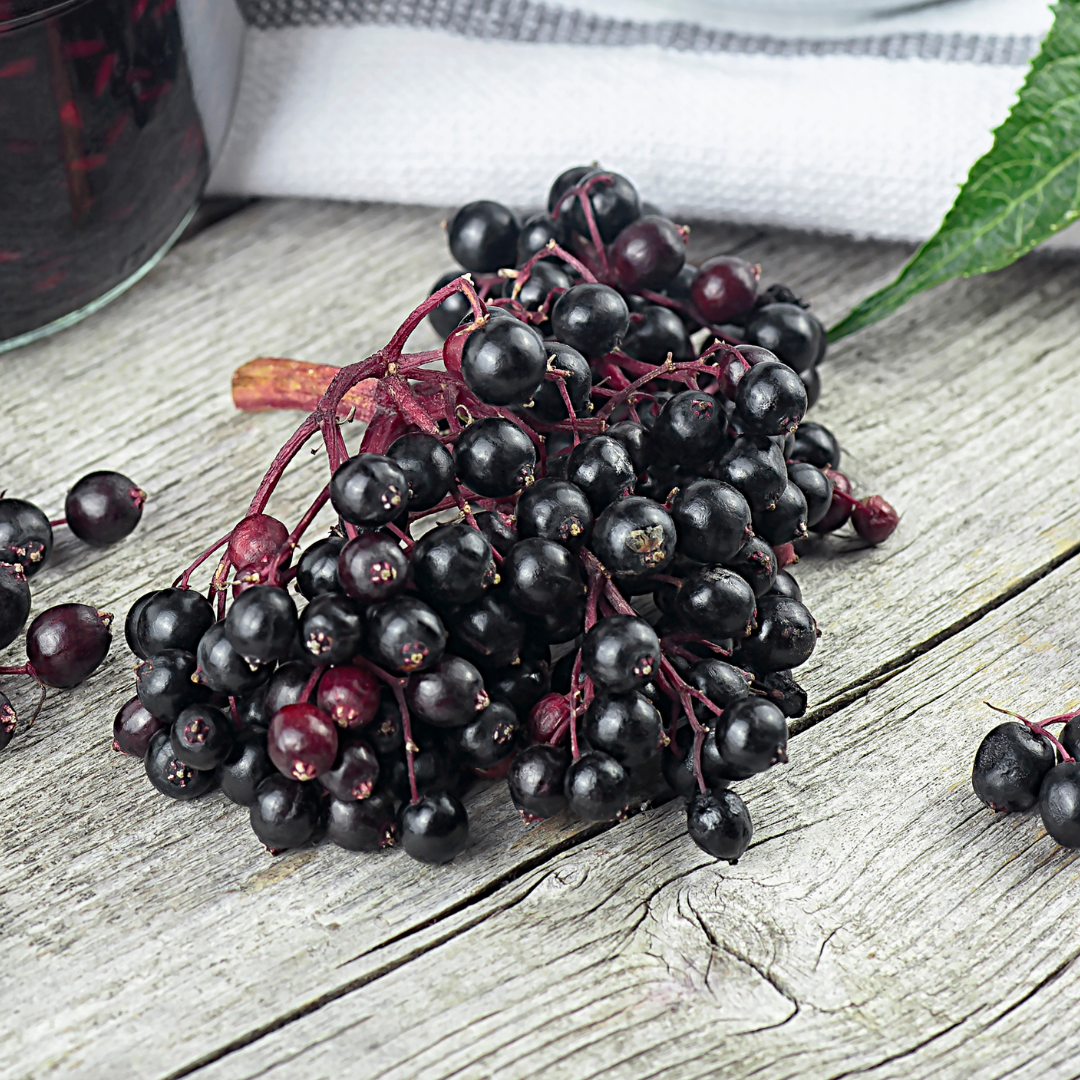 1719743853870_Elderberry