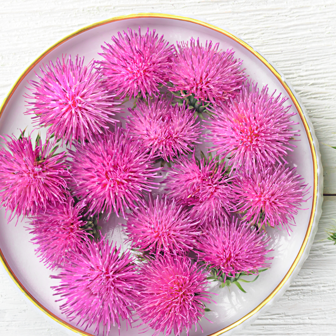 1720025241193_Milk_Thistle
